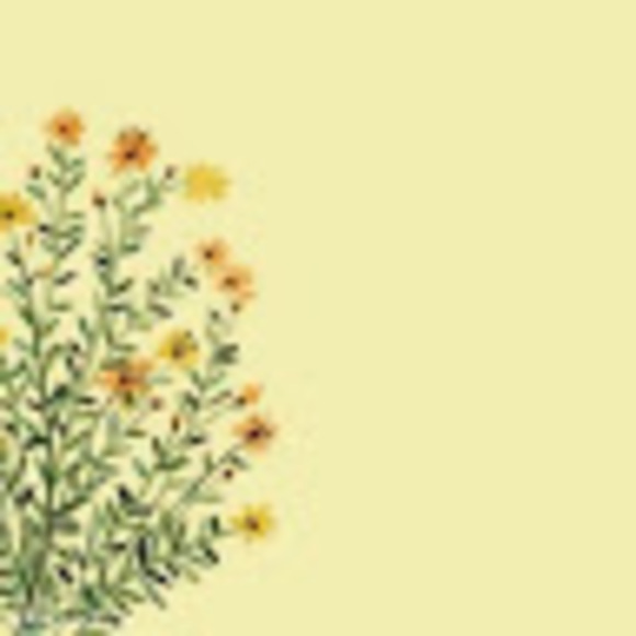 Meet your Posher, Jenna - Picture 1 of 1